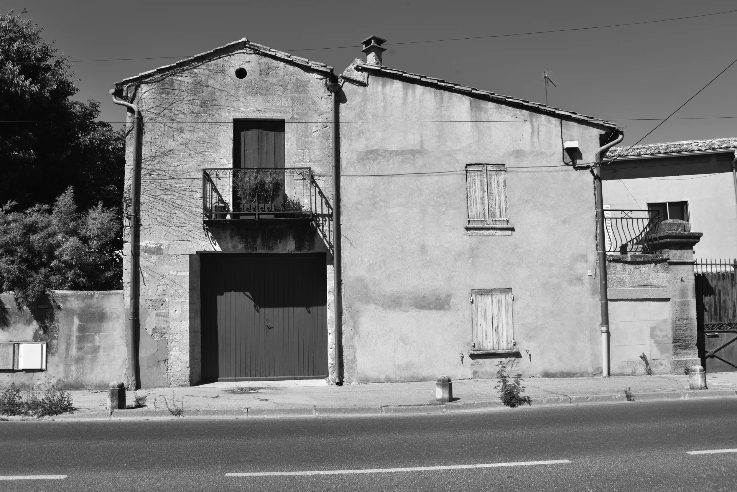 DSC_4341bw.jpg
