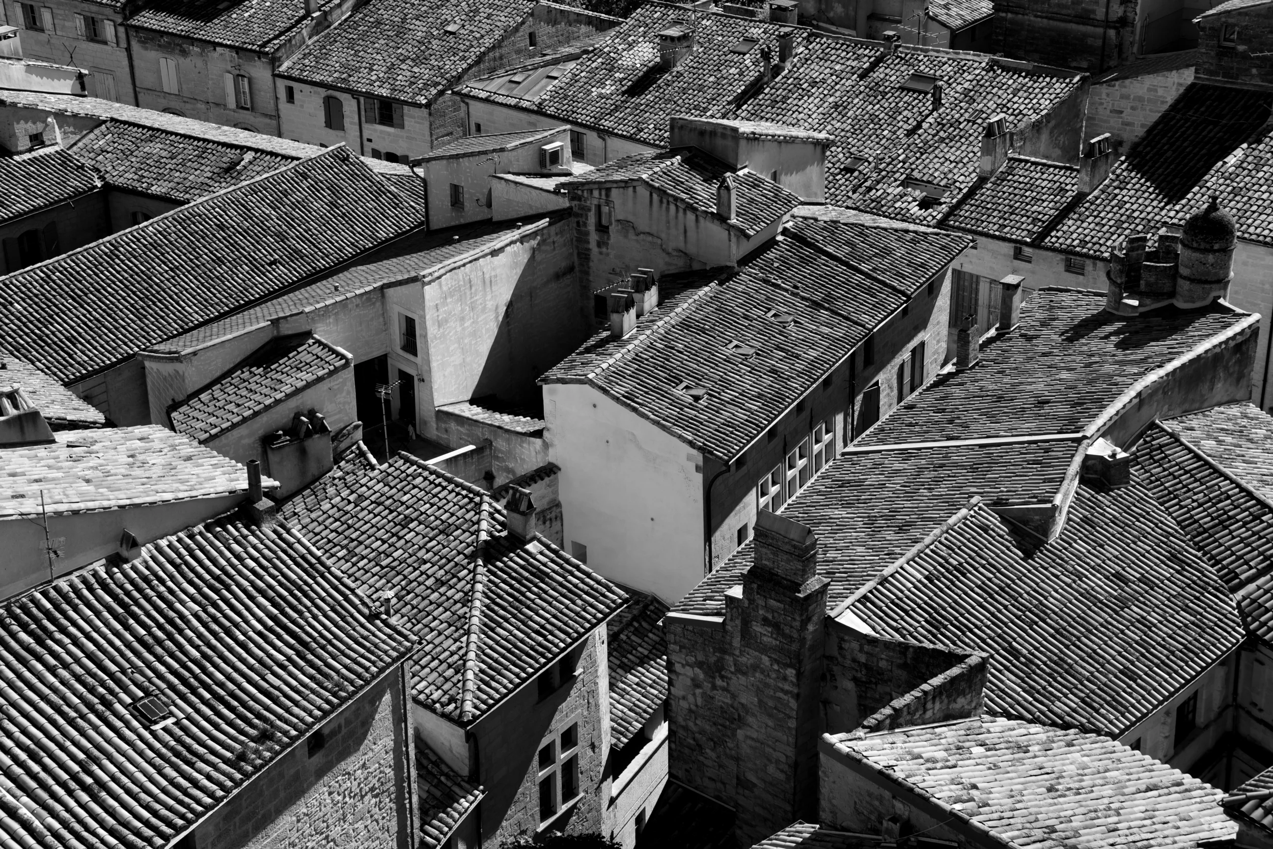 DSC_4357bw.jpg