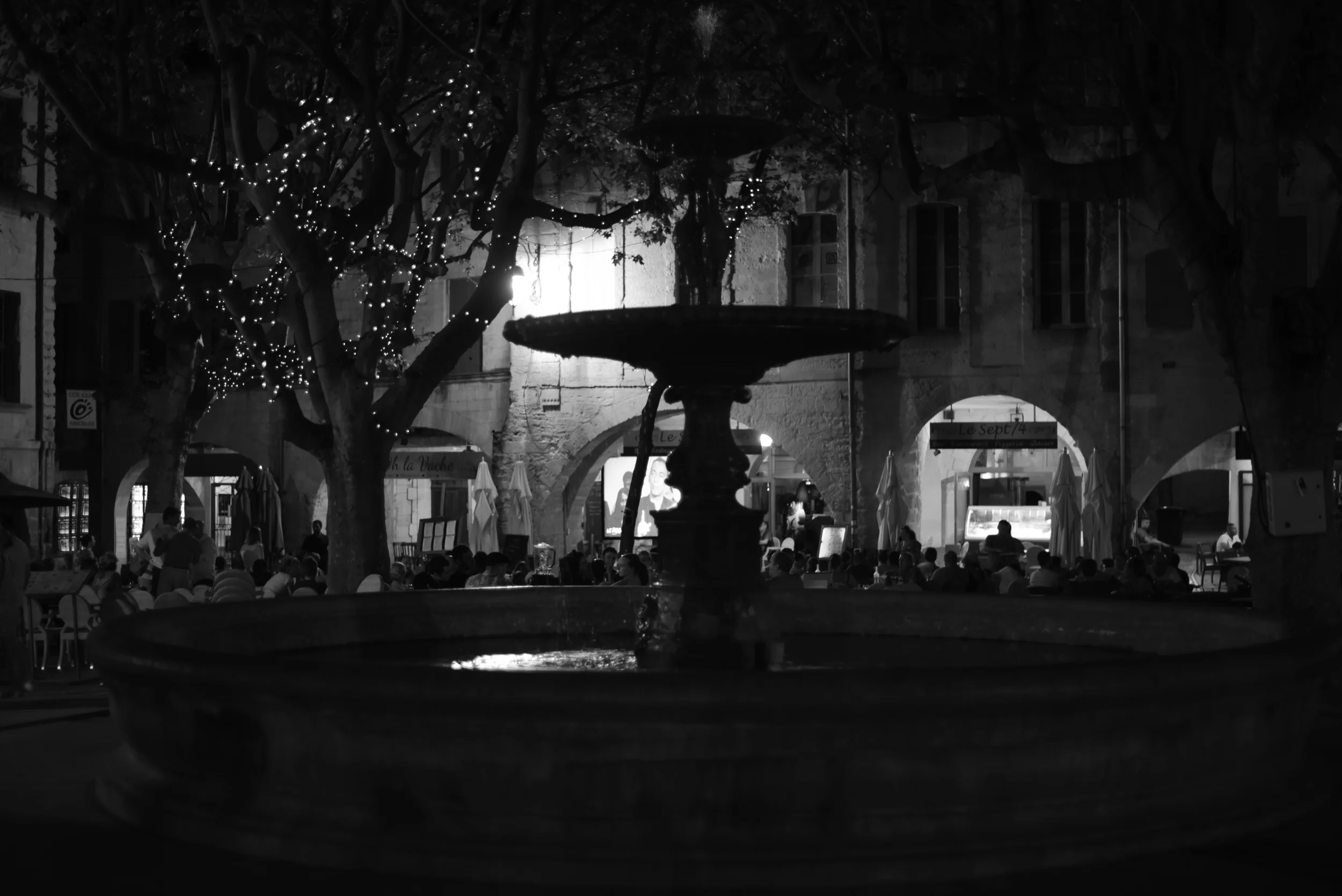DSC_4891 bw.jpg