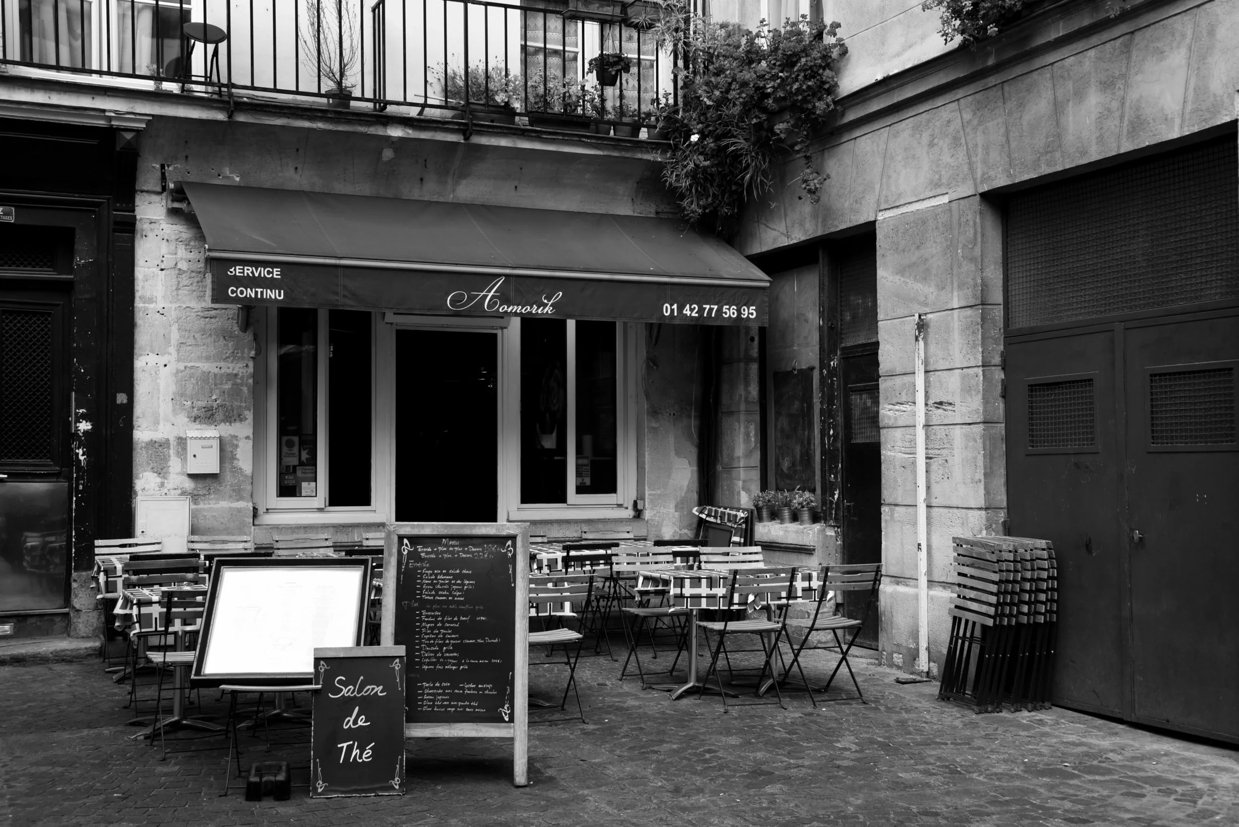 DSC_3409bw.jpg