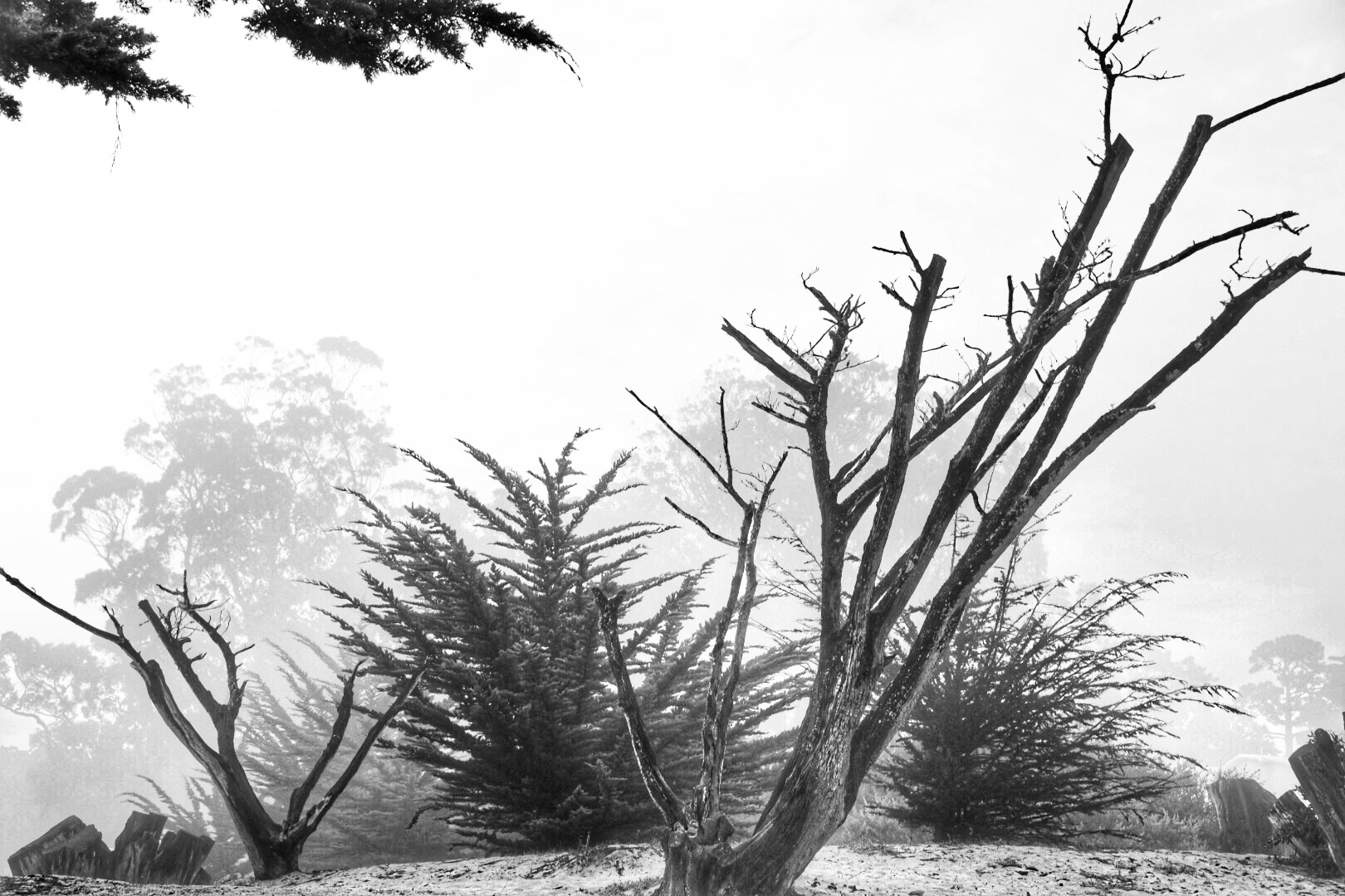 California Hwy 1