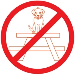 Please keep our furry friends off of tables and chairs