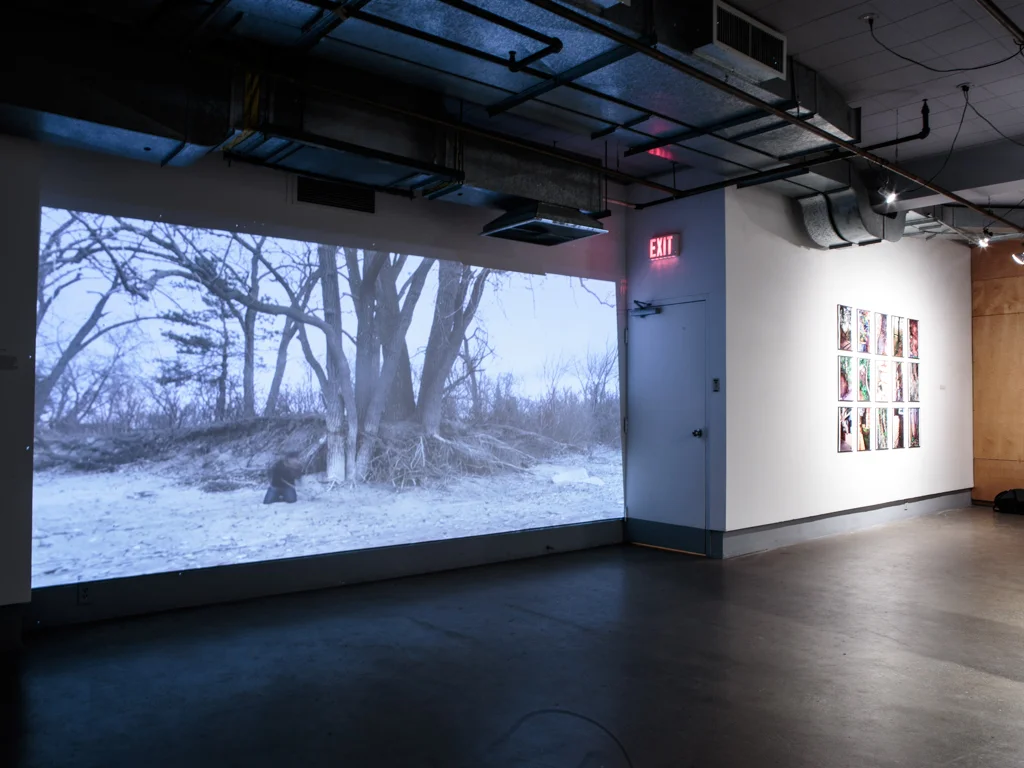  Installation view  It grasps from an environment it once formerly knew   