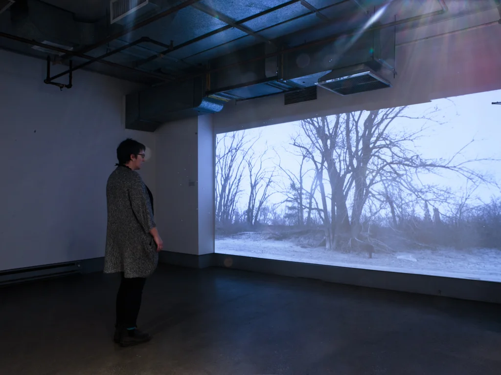  Installation view  It grasps from an environment it once formerly knew   