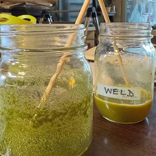  The beginning stage of making lake with homegrown weld from my garden (foreground) and store-bought weld (far right) with alum.  