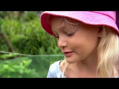 Lysbilde 5