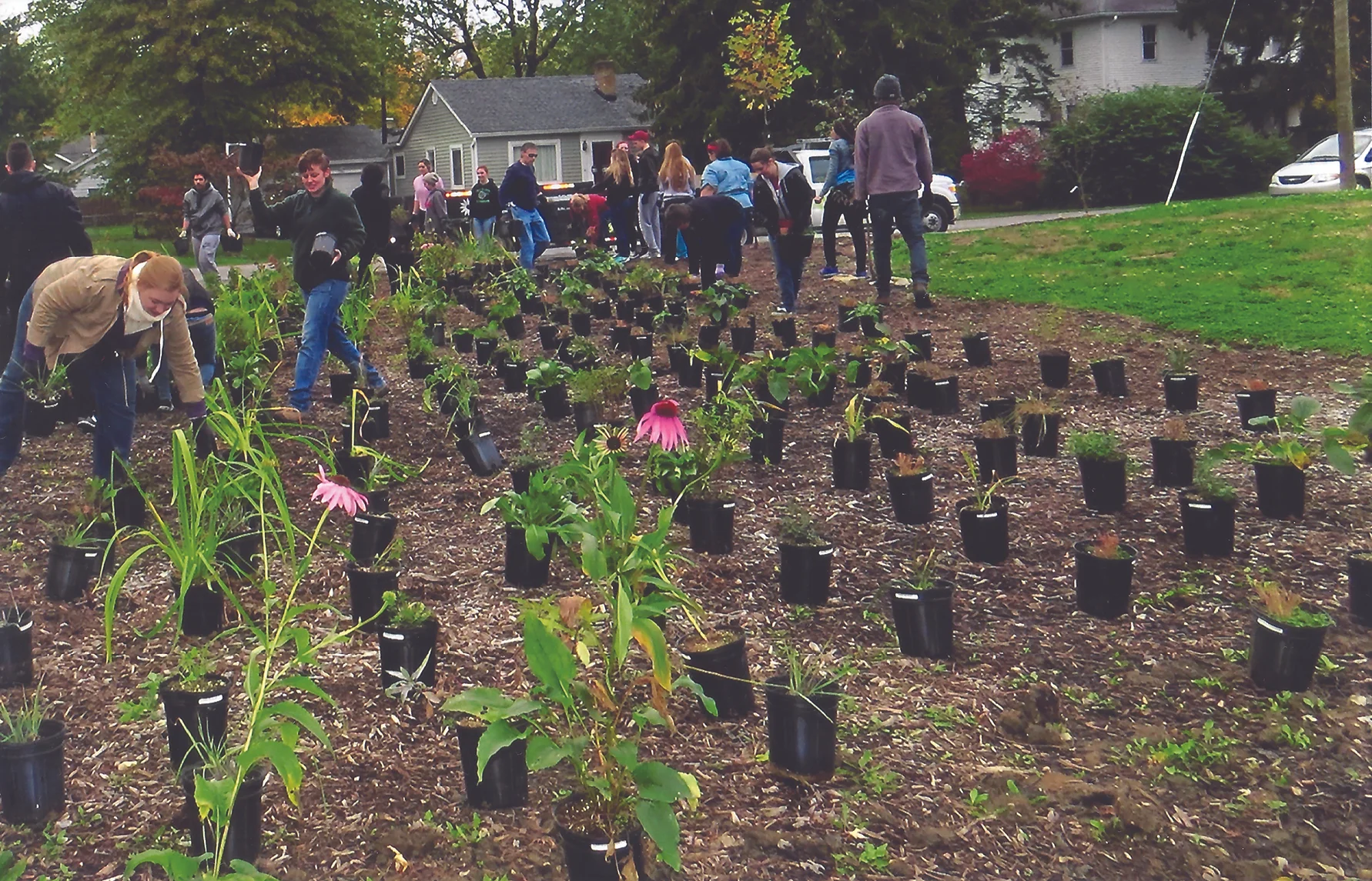 University Heights_Planting.jpg