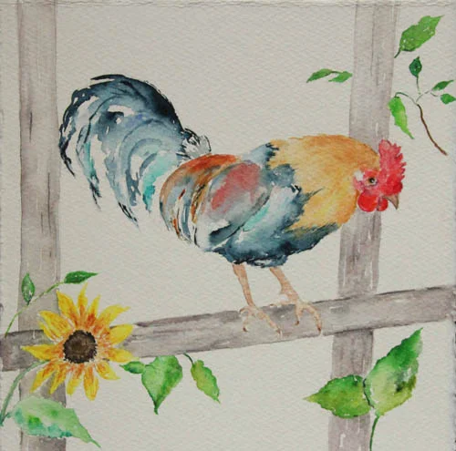 Maria Tadd, Summer Rooster, watercolor