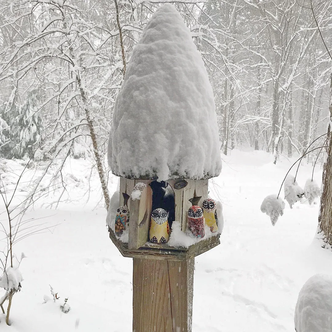 owlets-in-snow-house-kiffney.jpg