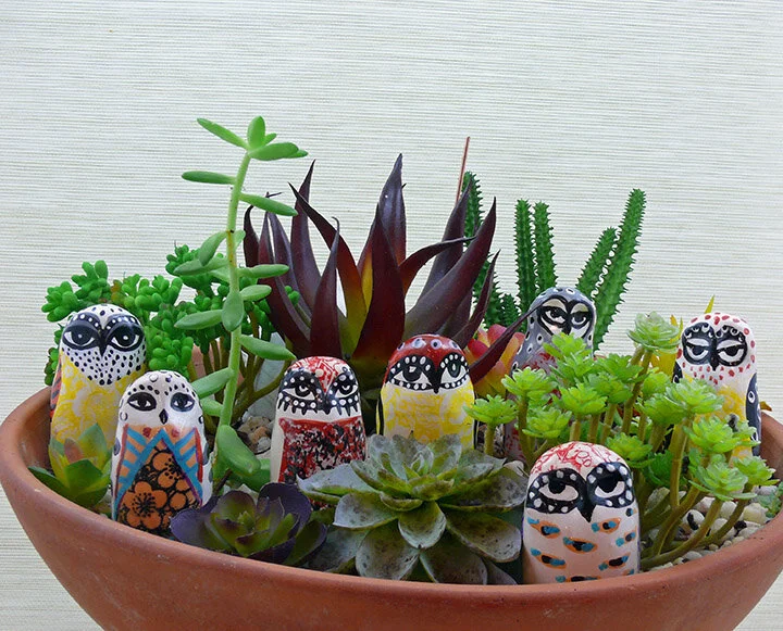 kiffney_owlet-group.jpg