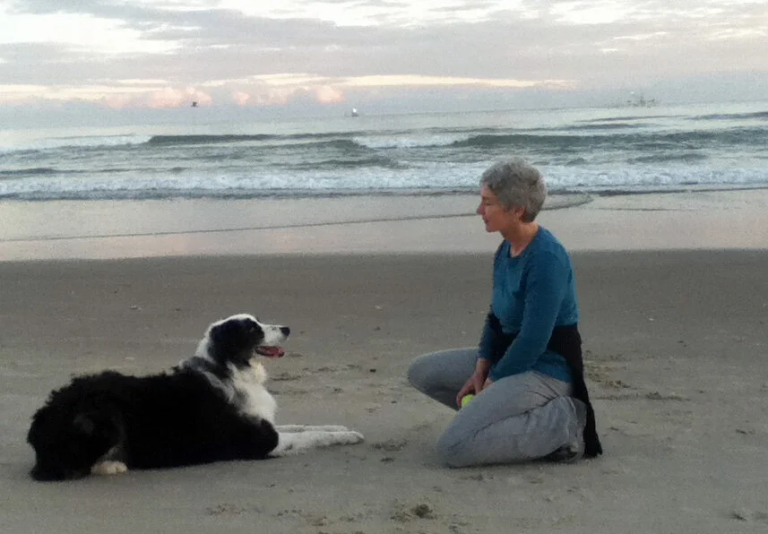 kiffney.comet_beach.jpg