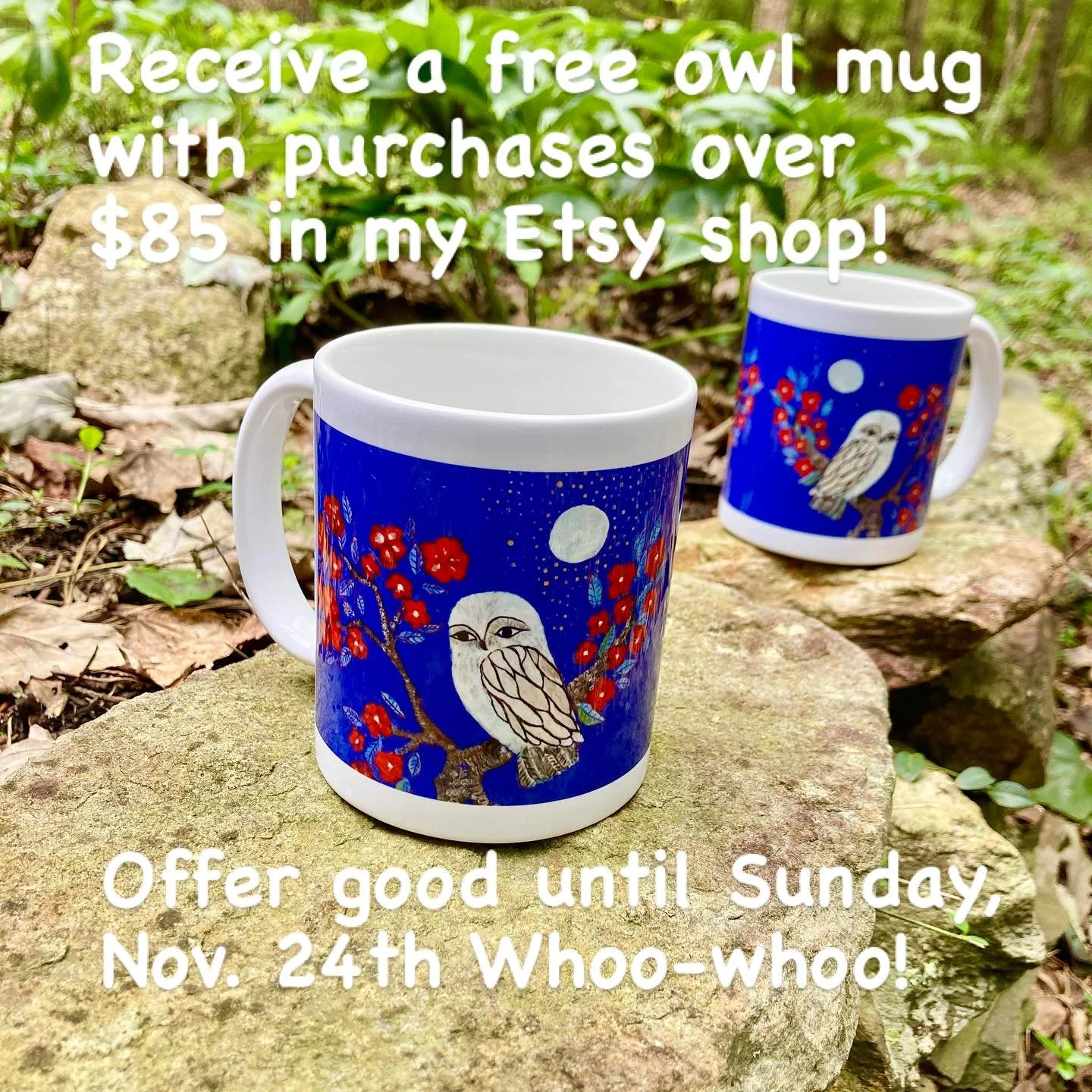 Free owl mug with purchases $85 and over in my Etsy, good now until Sunday, Nov. 24th!
Whoo whoo ! www.cathykiffneystudio.etsy.com