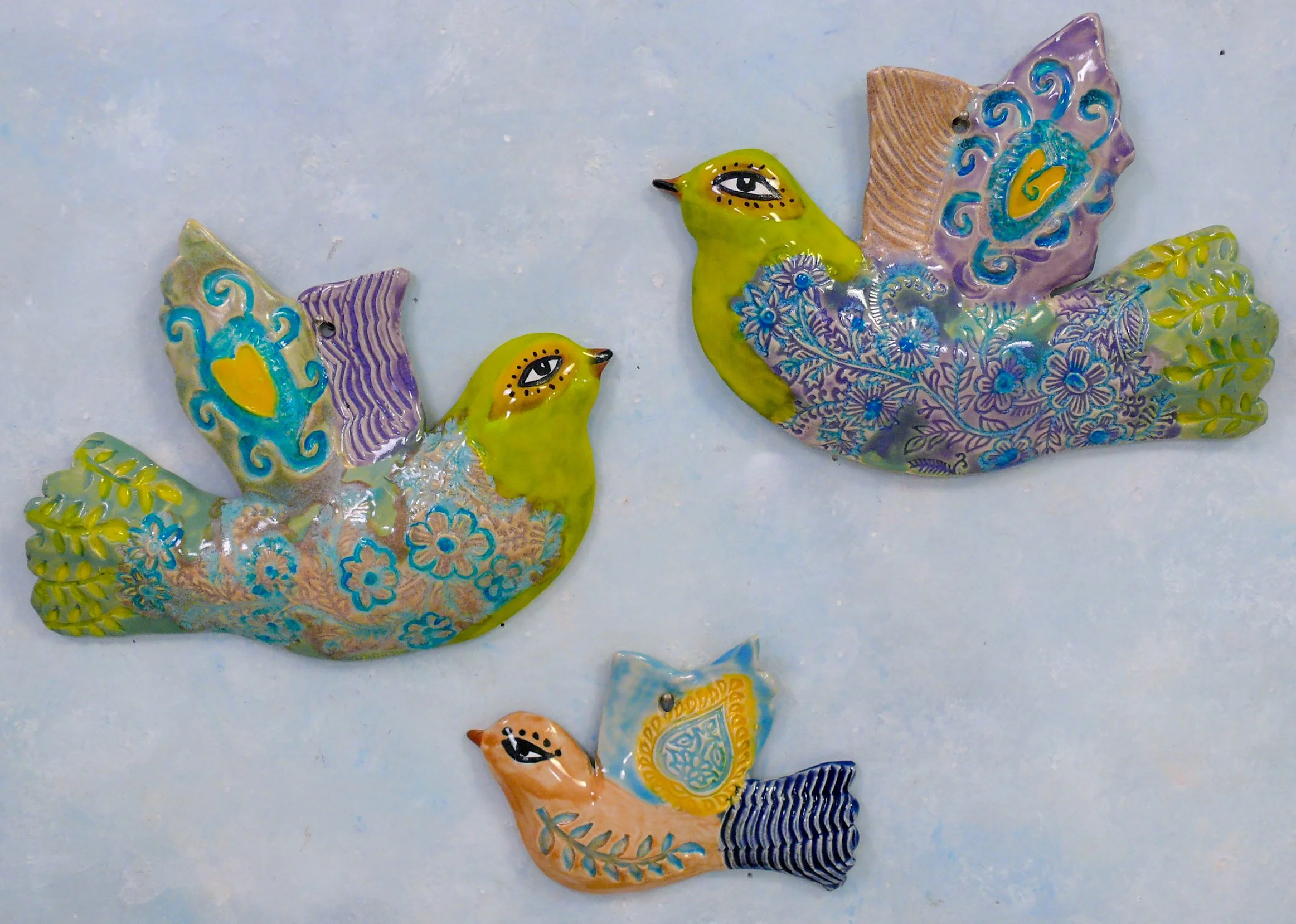 Summer update, new birds!