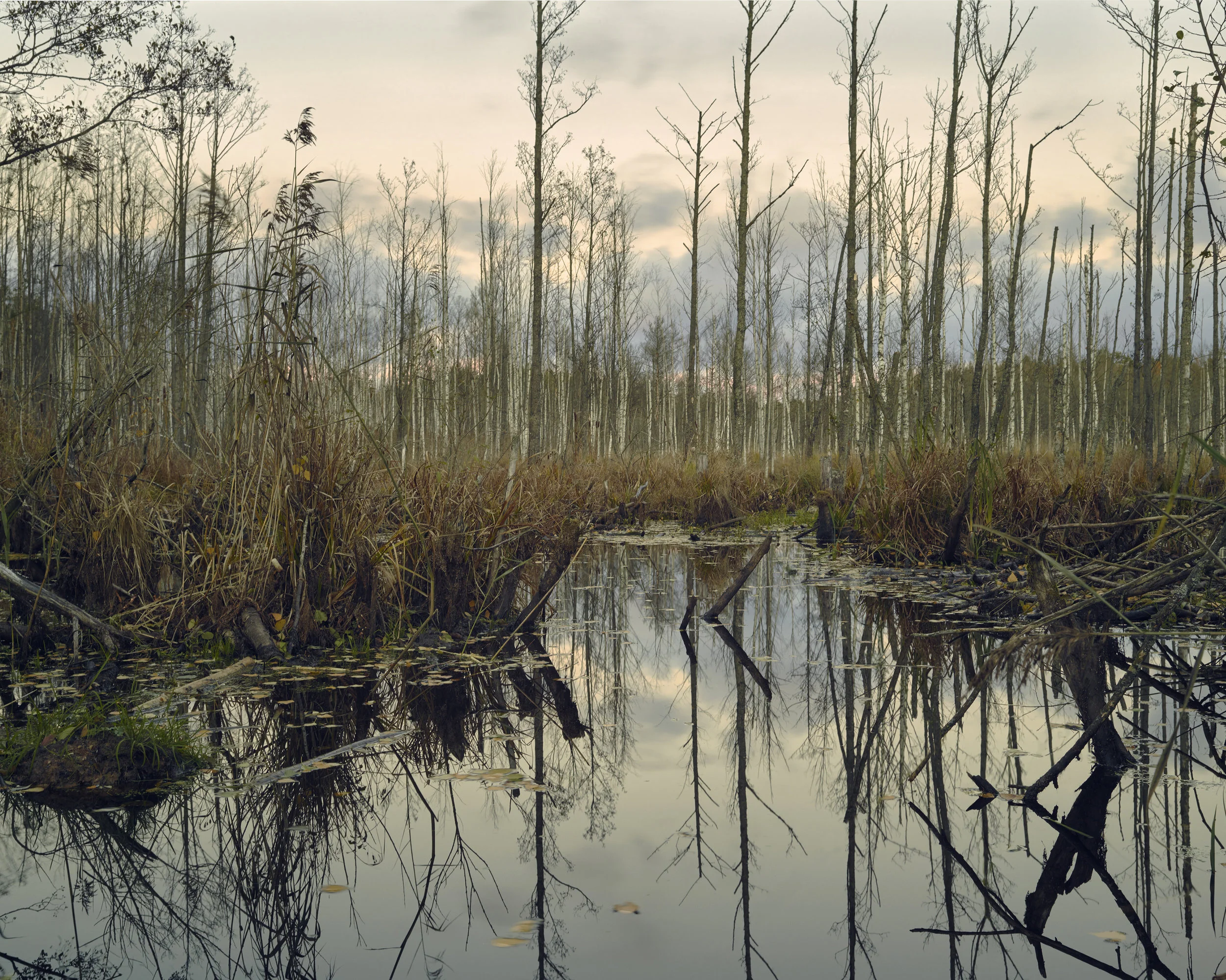 Babochka_20x16_Remastered_0013_Layer 16.jpg