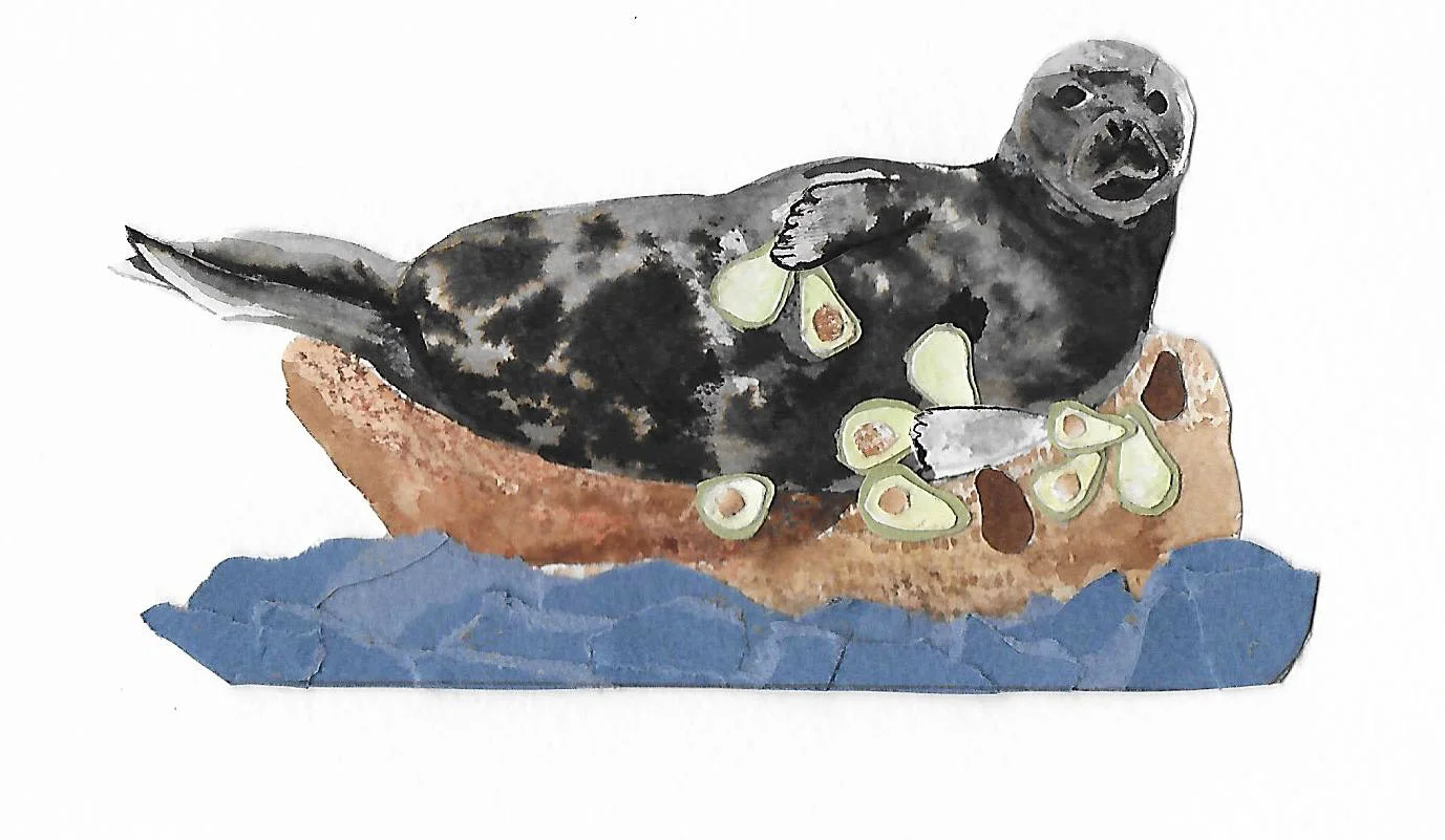 seal1 1.jpg