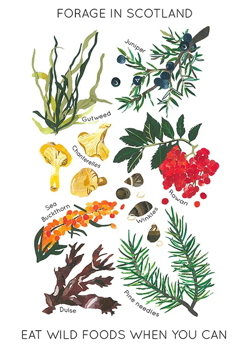 forage+smaller.jpg
