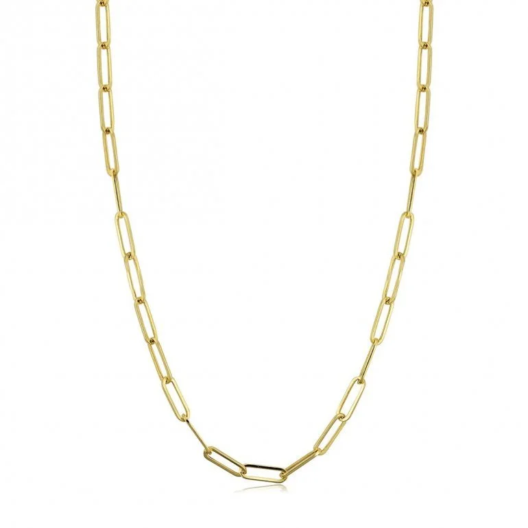 Paperclip Chain.jpeg