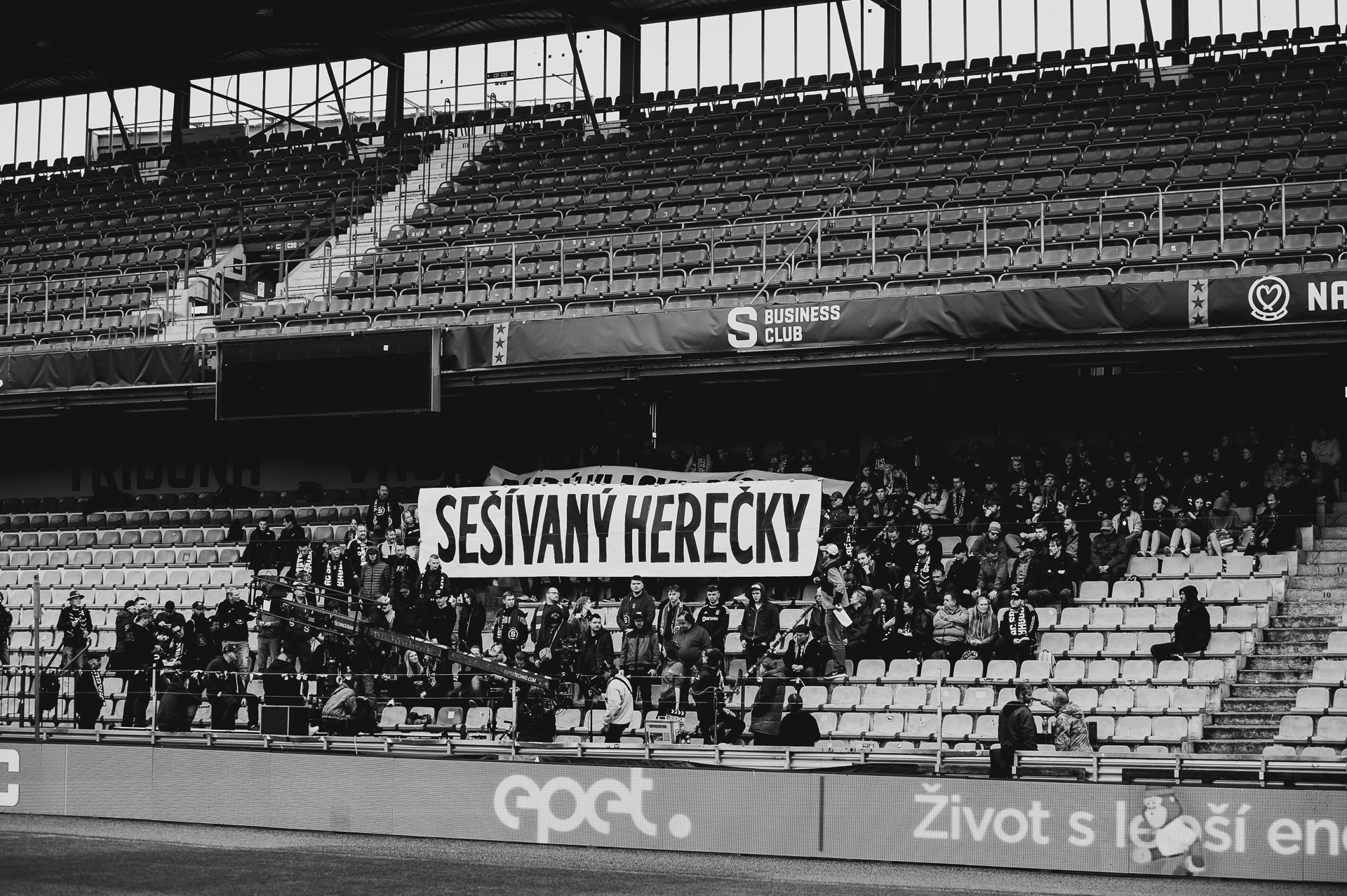 Derby 13.6. MOF-7.jpg