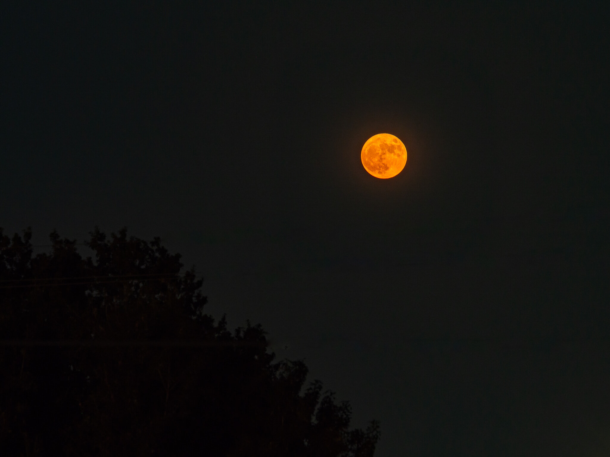 Hunter's Moon On October 1st