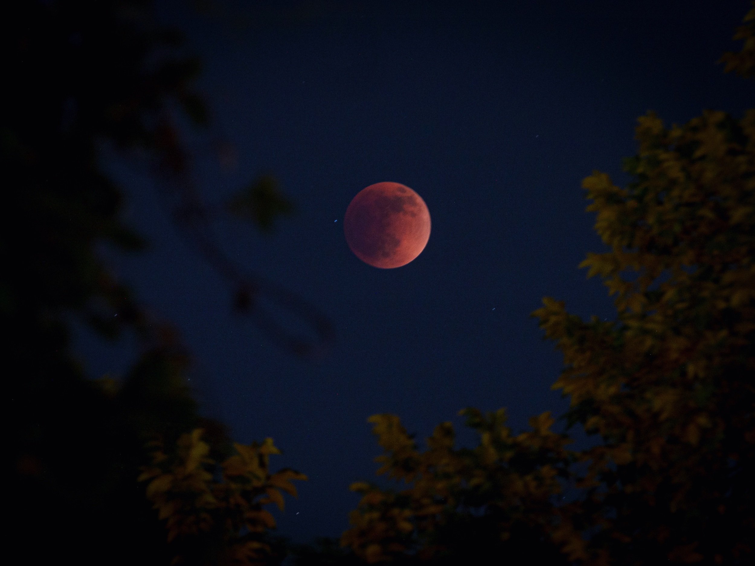 Lunar Eclipse