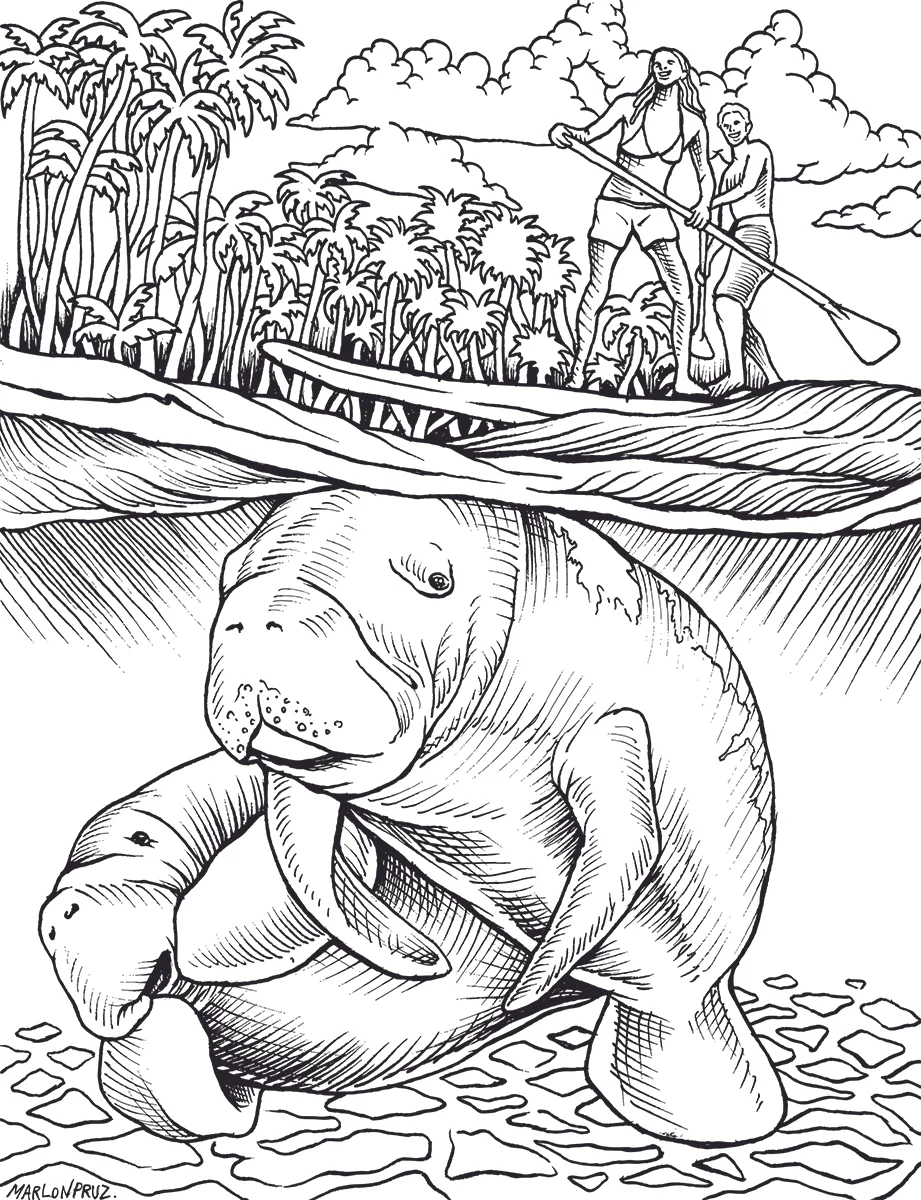 manatee.jpg