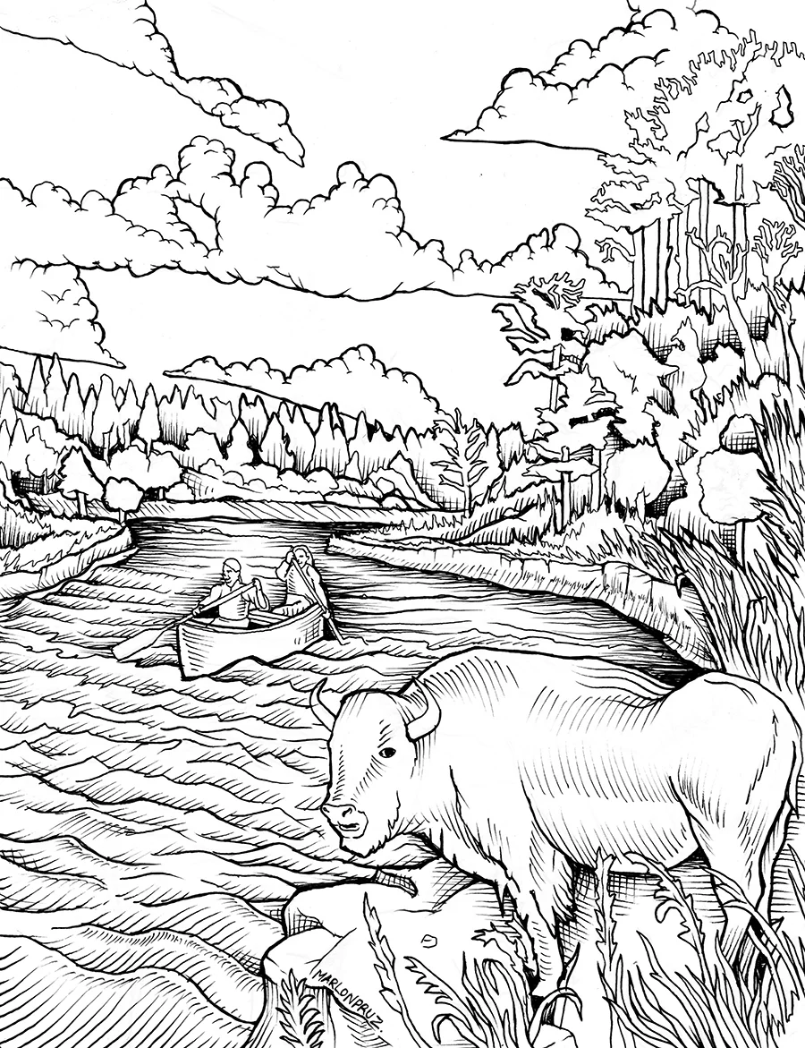 bison copy.jpg