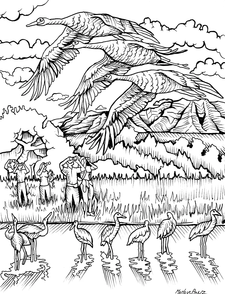 craner copy.jpg