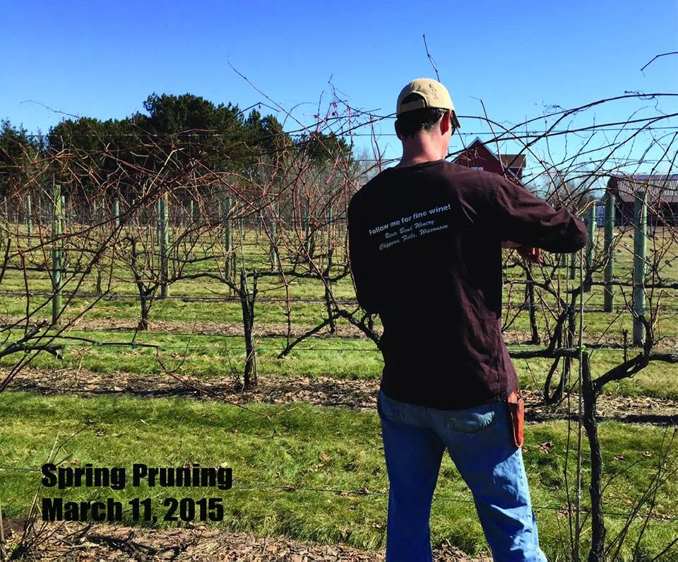 Al Pruning 3.jpg