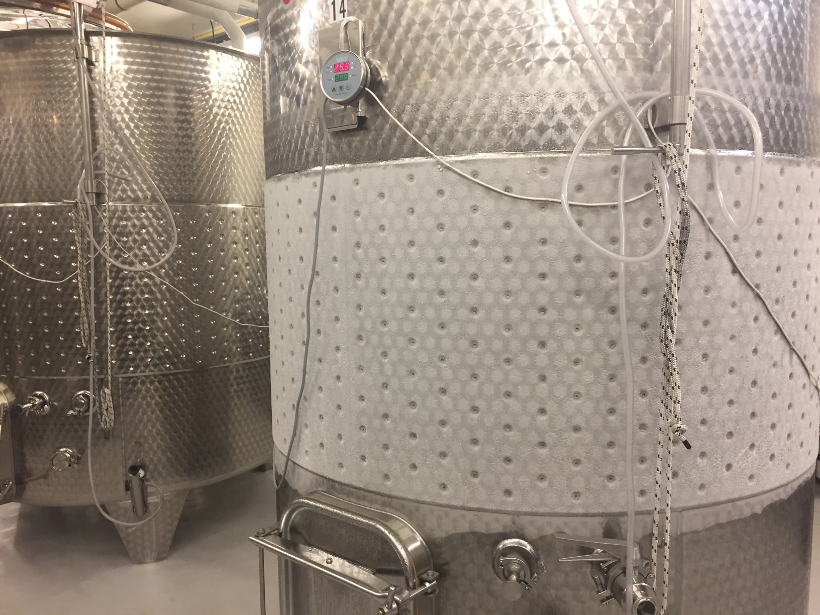 In the Winery Chilling in the Cellar — River Bend Vineyard & Winery