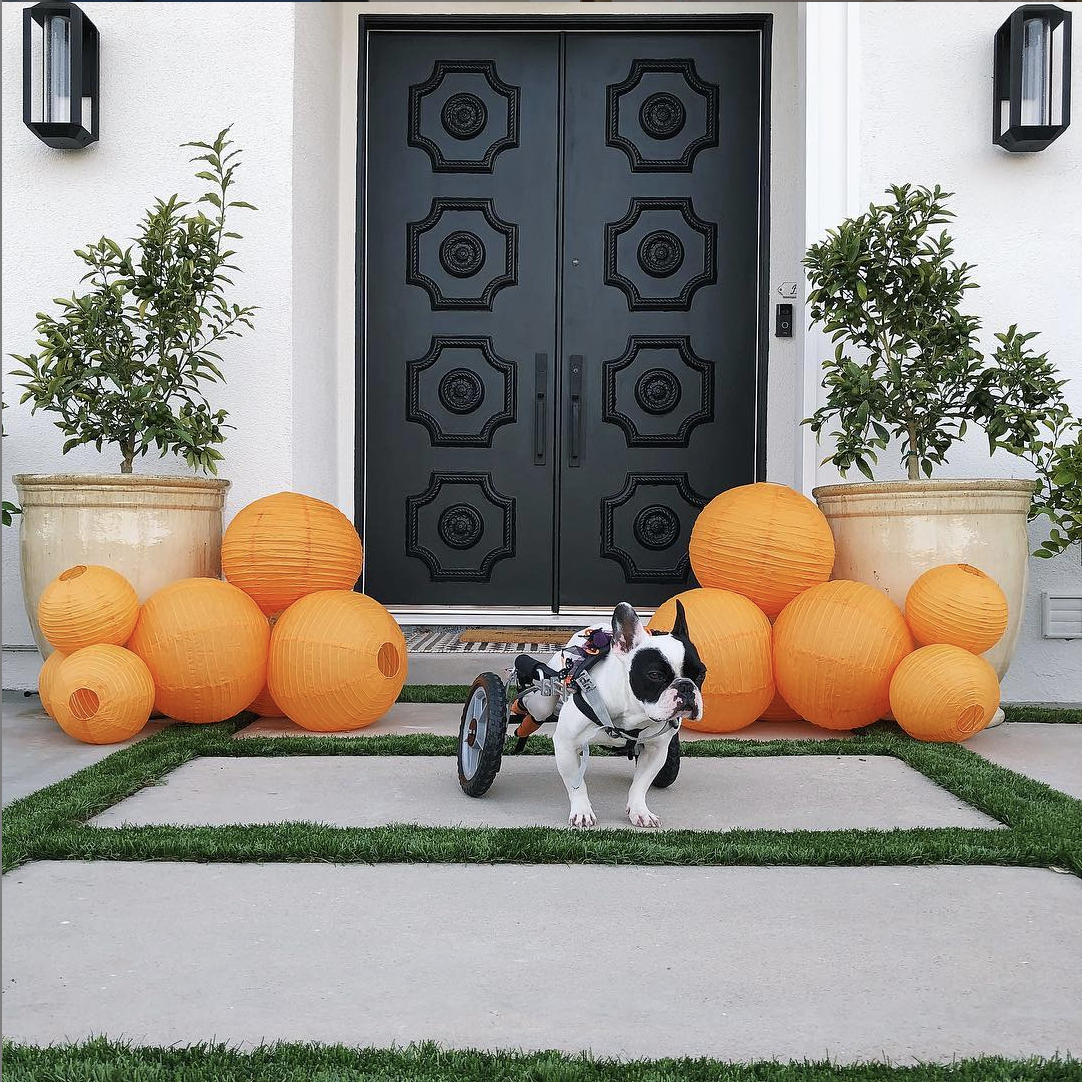 maison-malibu-front.png