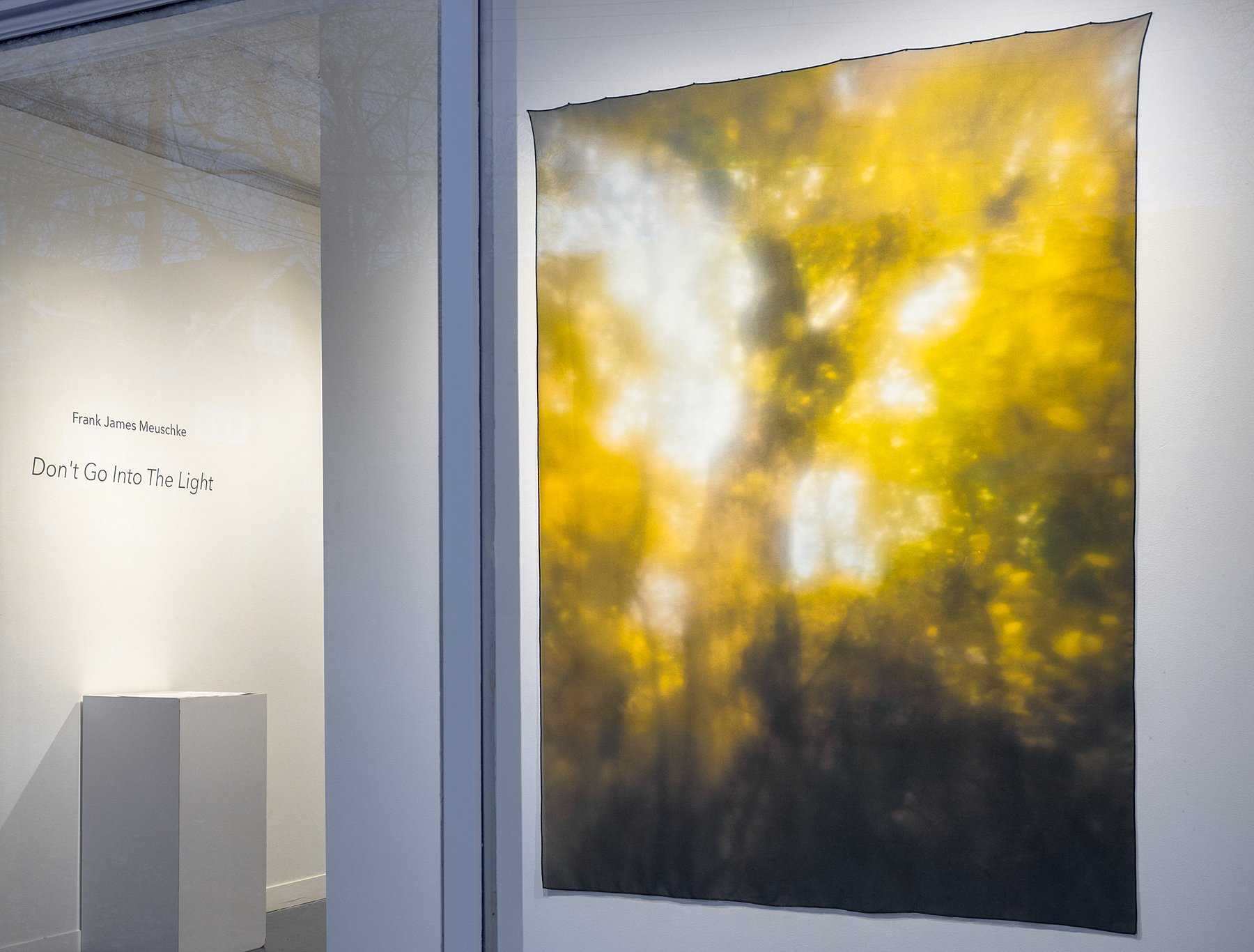 Window View, "Don't Go Into The Light" at Rosalux Gallery, Minneapolis 2022