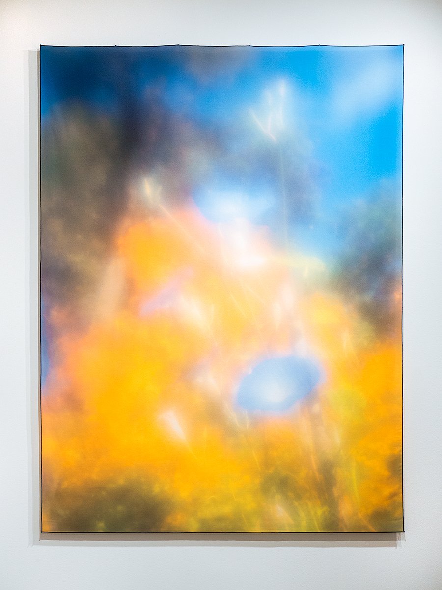 "Morning Glory"  68 x 54 inches, sublimation print on polyethylene terephthalate fabric, 2022