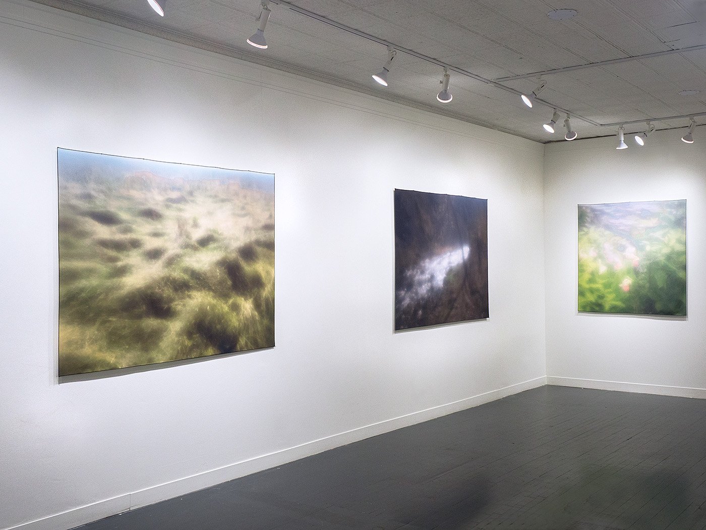 Installation View, "Don't Go Into The Light" at Rosalux Gallery in Minneapolis, 2022