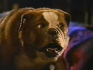 ‘Poochinski’ Proves That Not All Dogs Go To Heaven (Some Just Become Peter Boyle)