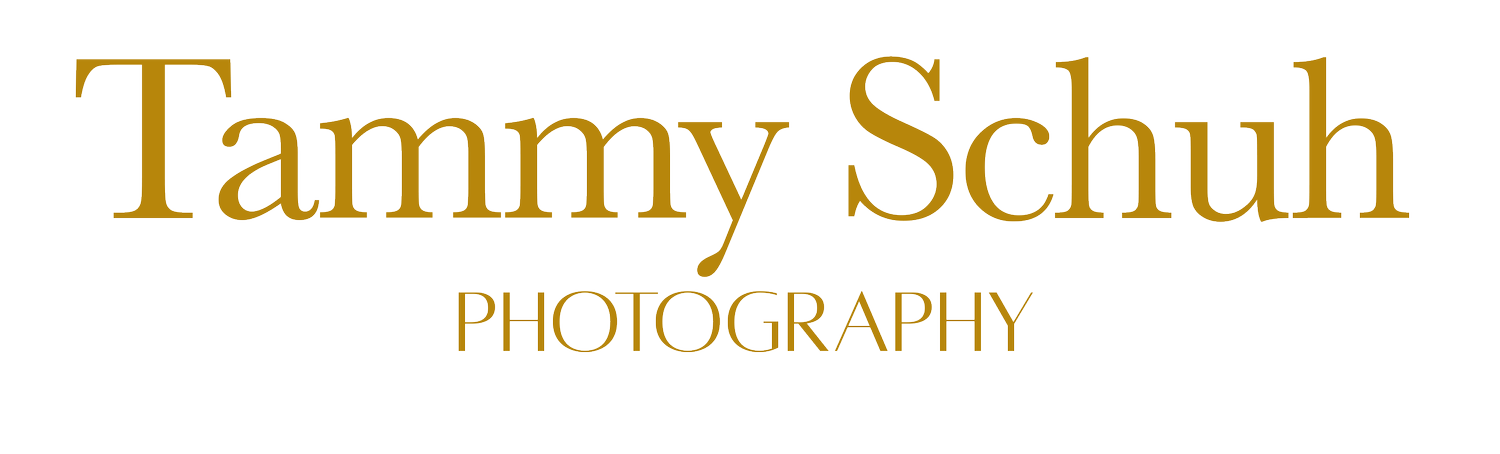 Tammy Schuh Photography