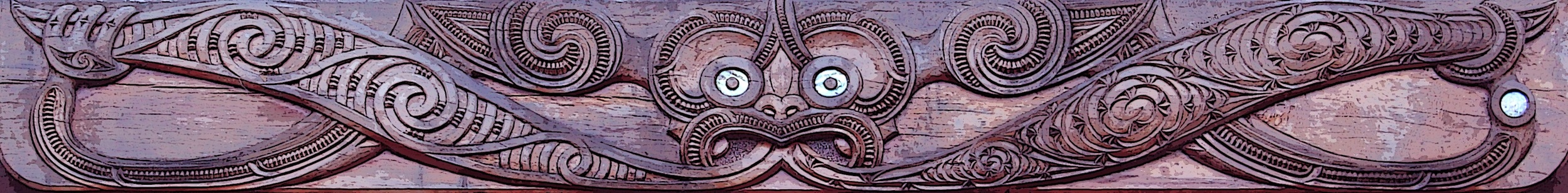 Vision/Aronui: I ncrease access, achieve equity and improve health outcomes for whānau, hap ū and iwi Māori living in the Nelson Tasman rohe.