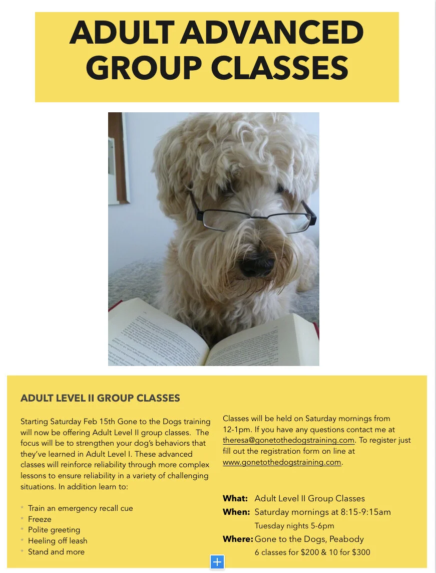 How Do I Teach My Dog Emergency Recall