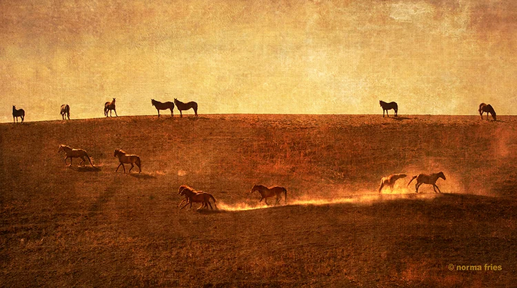 WH131: "Hilltop play"