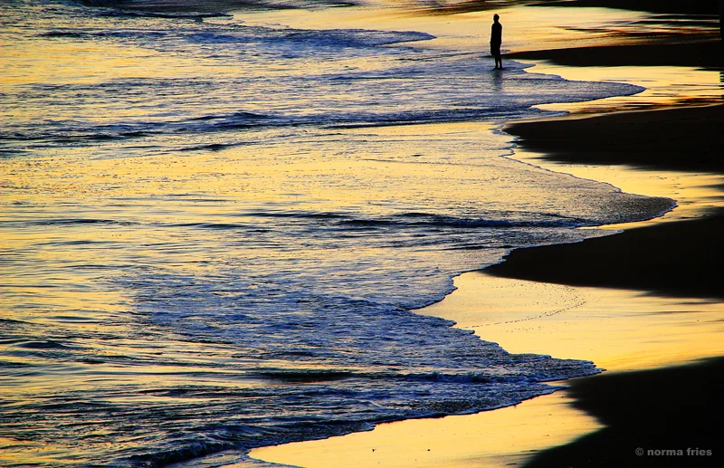WT305: "At the edge"