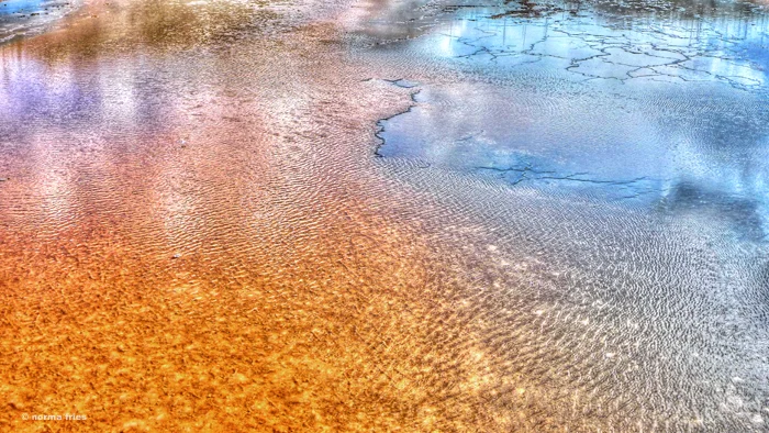 WT313: "Yellowstone: Reflections"