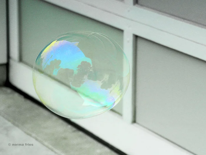 XX1033: "Earth bubble"