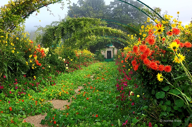 FR408: Monet's garden archway