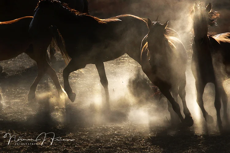 WH602: Kickin' it up