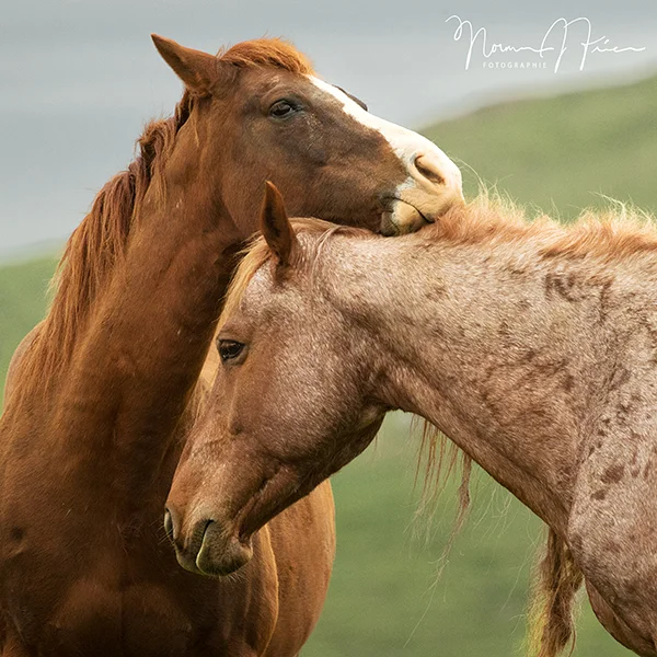 WHM104: "Lean on me"
