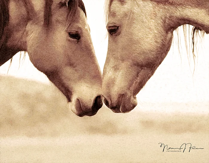 WHM113: "I am with you"