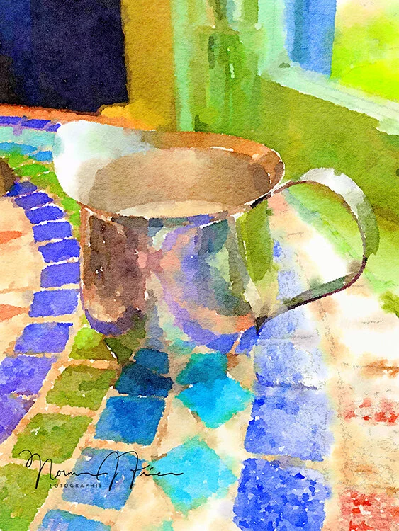  “Morning glory”  