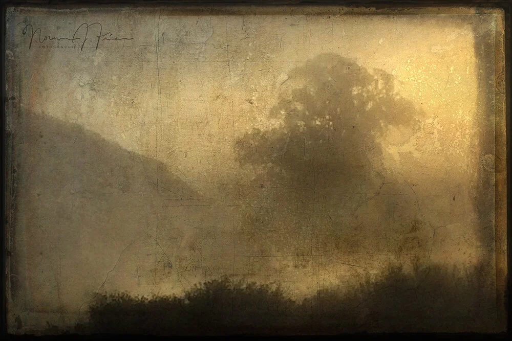  “Distance” - I photographed this tree in the fog. And then I used some digital textures to mimic a scratched metal tintype. 