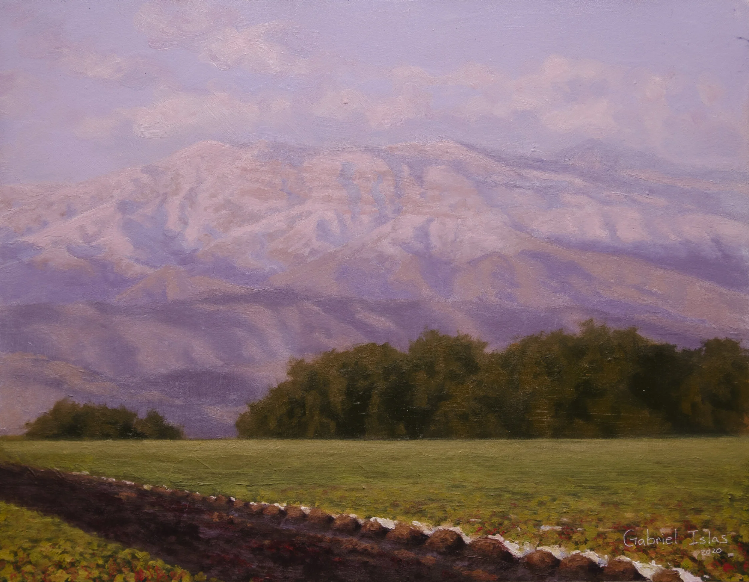 Islas_Strawberry Vista_14x18.jpg