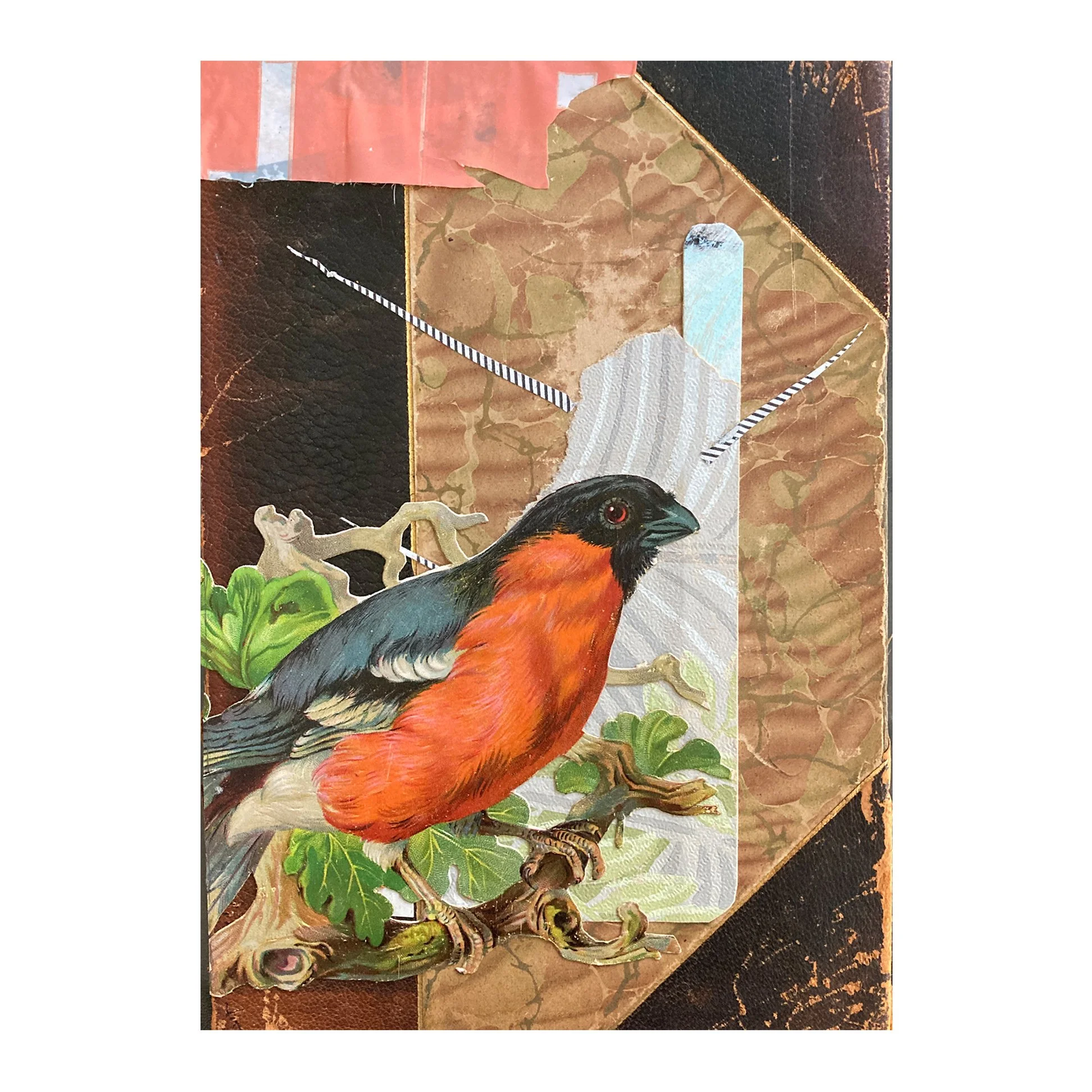 SQ_VAP_DugUyesaka (1).jpg