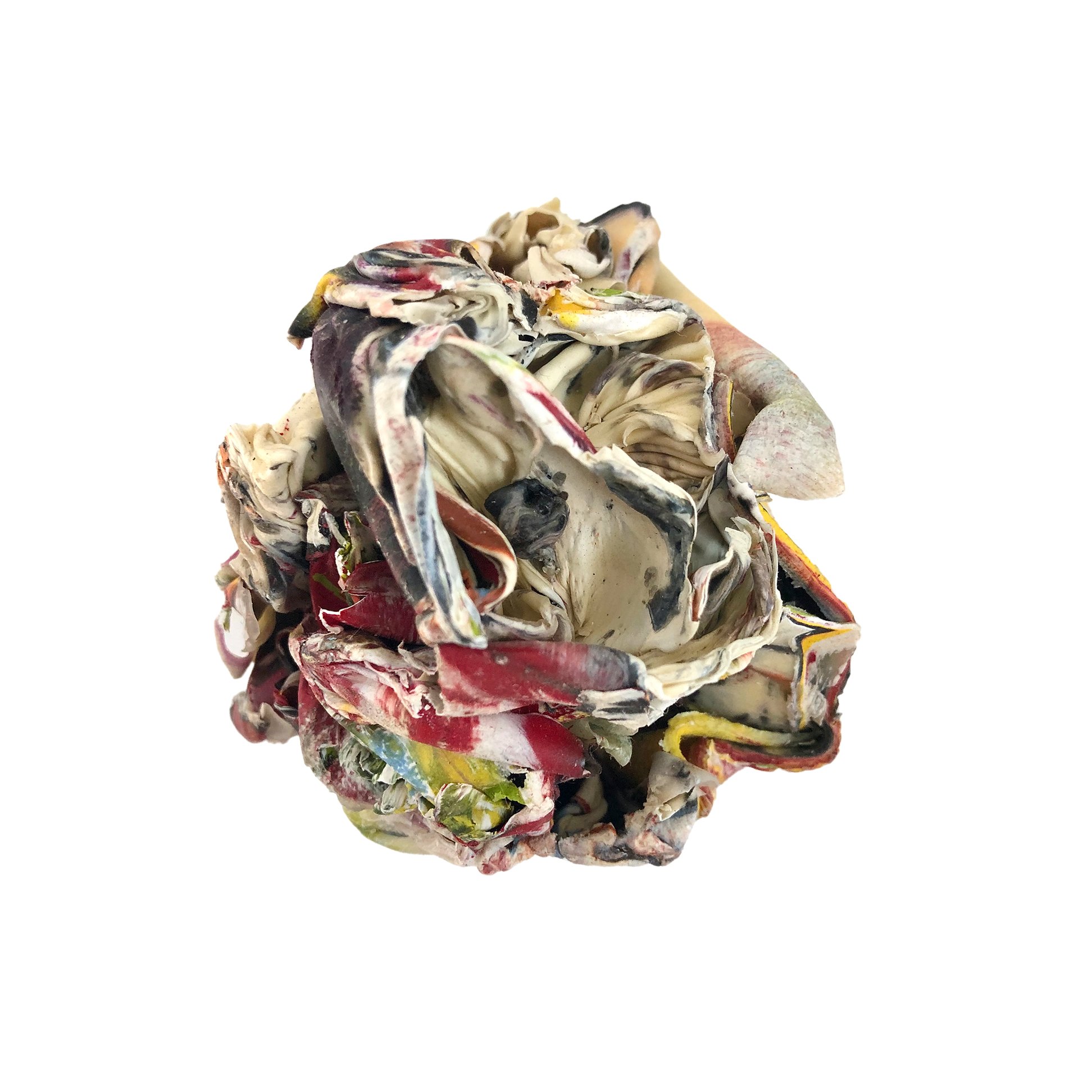 SQ_VAP_PaddyReynolds (1).jpg